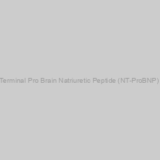 Image of Mouse N-Terminal Pro Brain Natriuretic Peptide (NT-ProBNP) ELISA Kit